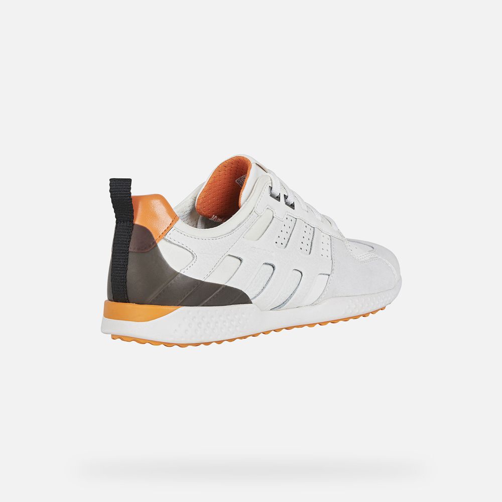 Geox Erkek Spor Ayakkabı Beyaz - Snake.2 - GXF-409582